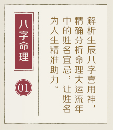 阜阳起名流程一